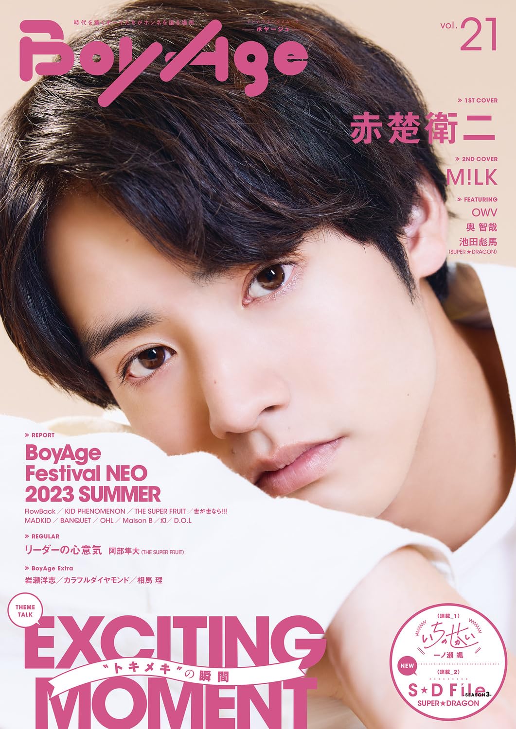 アート/エンタメ/ホビー Photo Graphica Vol.21 PHOTOGRAPHICA complete 21 volume setフォトグラフィカ 全21巻